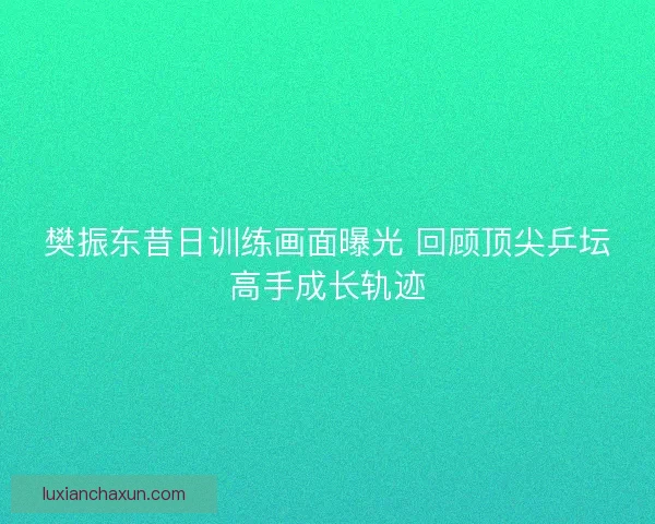 樊振东昔日训练画面曝光 回顾顶尖乒坛高手成长轨迹