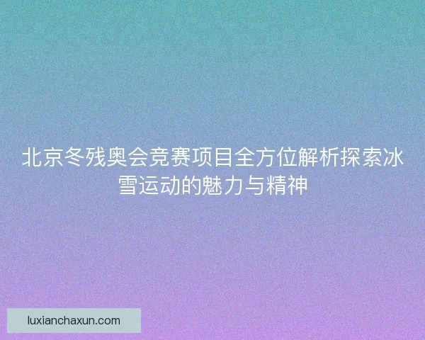 北京冬残奥会竞赛项目全方位解析探索冰雪运动的魅力与精神